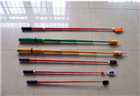 SG-110KV高压验电器